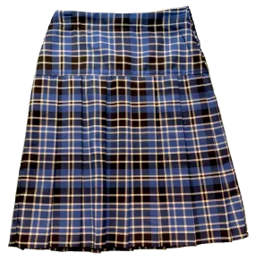 Lord Lawson Of Beamish Academy Pleated Skirt